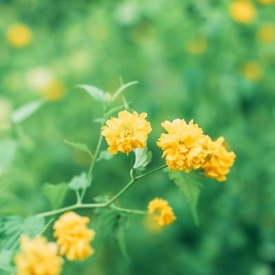 报告发现：AI 与机器人程序已正式接管互联网总书记再次强调雄安的“初心”